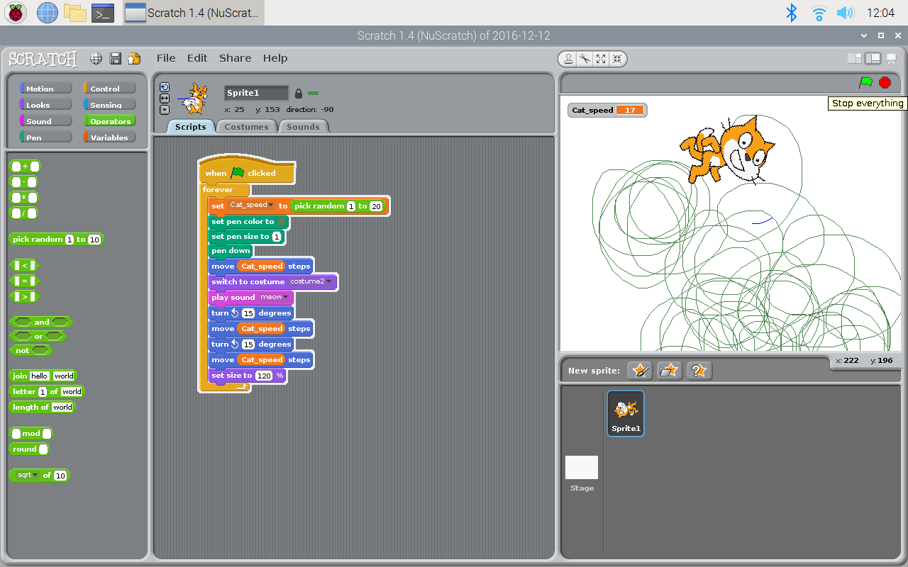 Scratch Programming